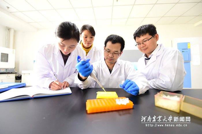 杜向党教授和团队成员开展科学实验 杜向党教授和团队成员开展科学实验