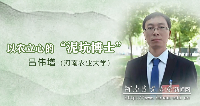 上网